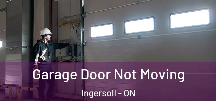  Garage Door Not Moving Ingersoll - ON