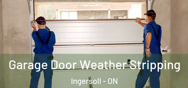  Garage Door Weather Stripping Ingersoll - ON