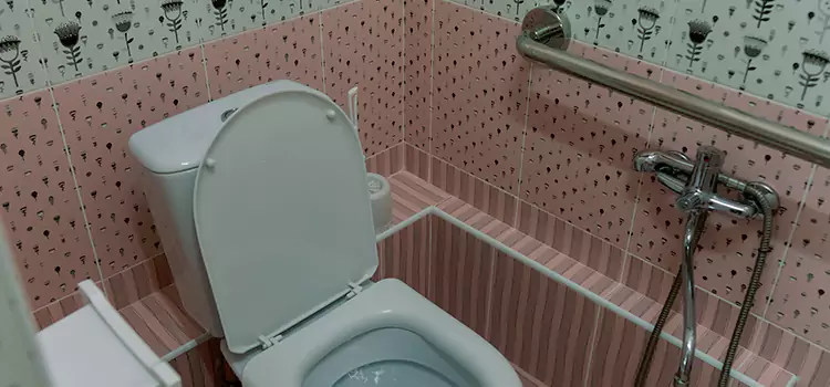 Meeting Diverse Needs With Accessible Restroom Solutions in Ingersoll, ON